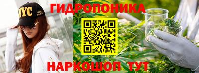ешки Можга