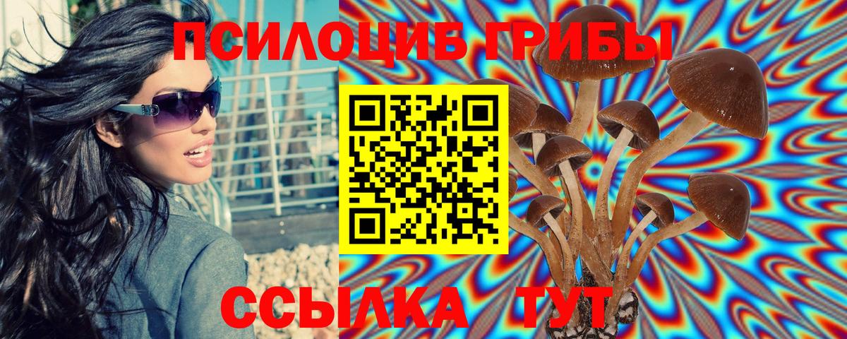 сколько стоит  Вход с VPN  Южноуральск  Галлюциногенные грибы Psilocybe 